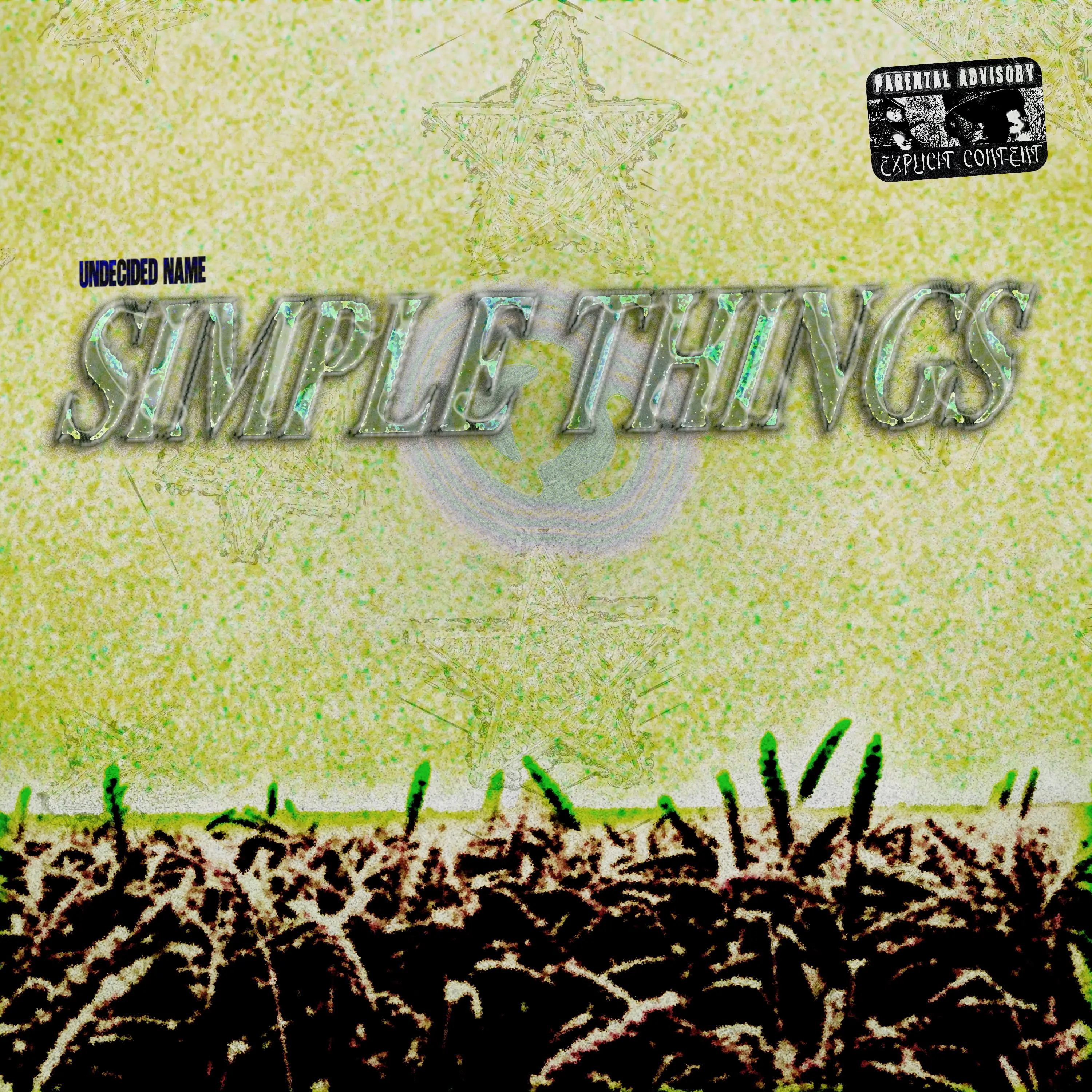 SIMPLE THINGS COVER